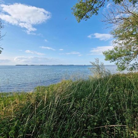 Quaint Bungalow Near Insel Poel With Garden 外观 照片