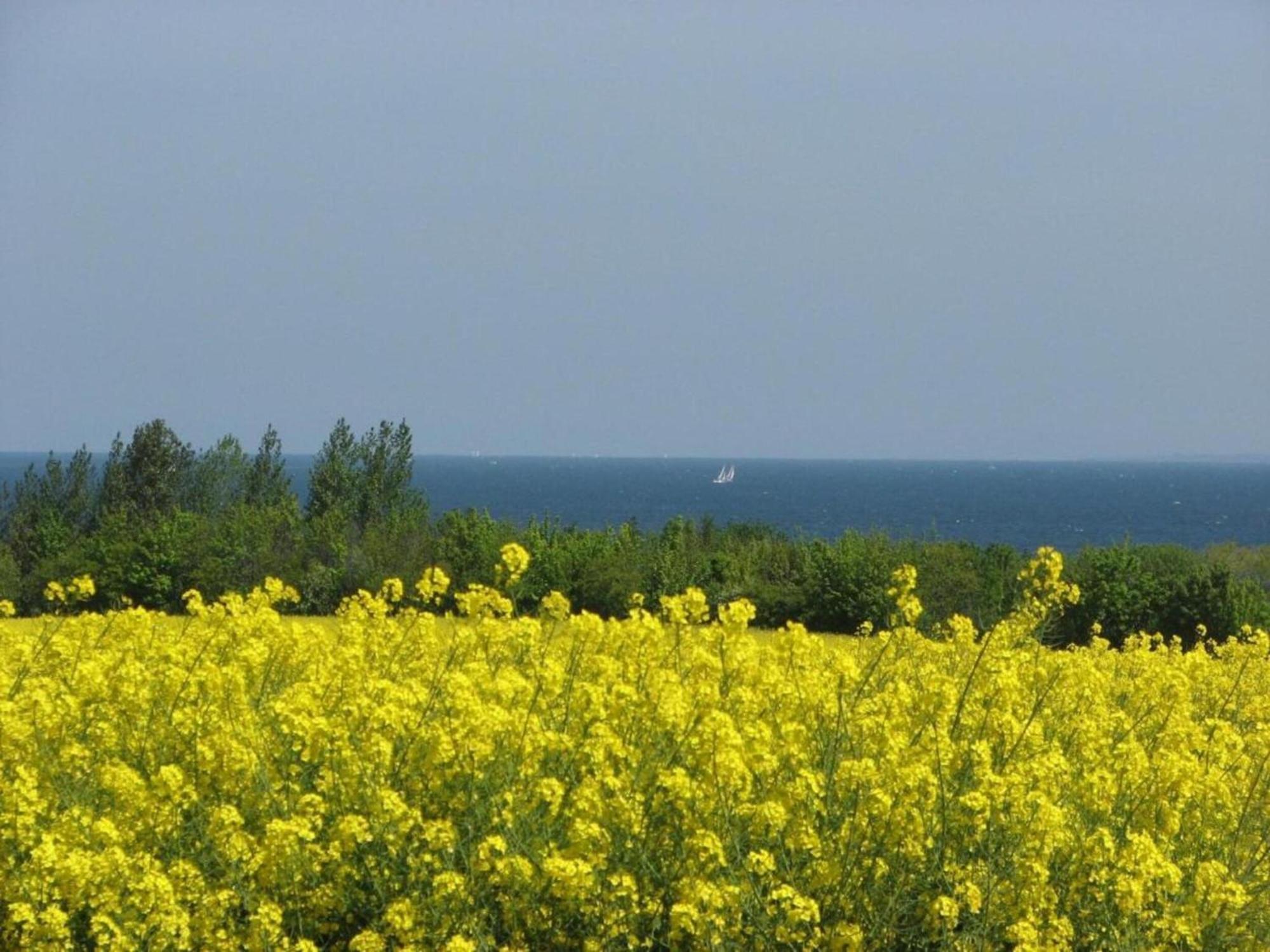 Quaint Bungalow Near Insel Poel With Garden 外观 照片
